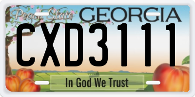 GA license plate CXD3111