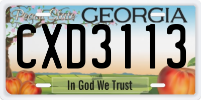 GA license plate CXD3113