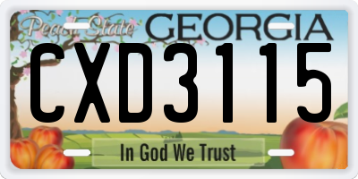GA license plate CXD3115