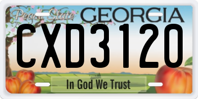 GA license plate CXD3120