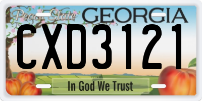 GA license plate CXD3121