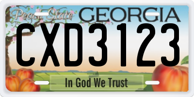 GA license plate CXD3123