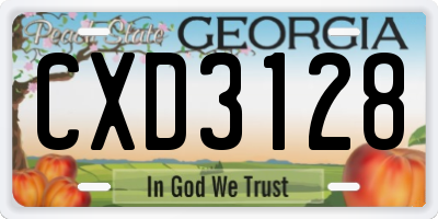 GA license plate CXD3128