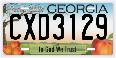 GA license plate CXD3129