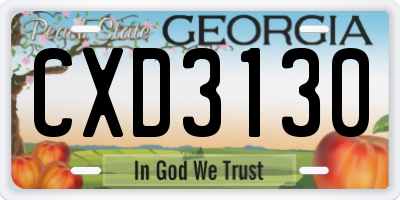 GA license plate CXD3130