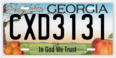 GA license plate CXD3131