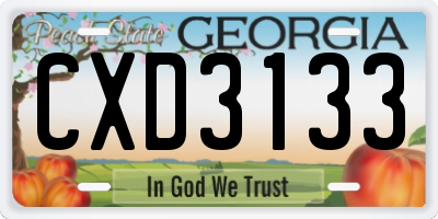 GA license plate CXD3133