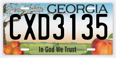 GA license plate CXD3135