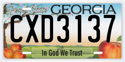GA license plate CXD3137