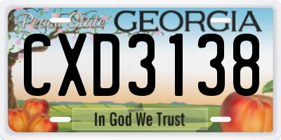 GA license plate CXD3138