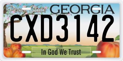 GA license plate CXD3142