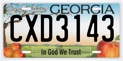GA license plate CXD3143
