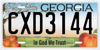 GA license plate CXD3144