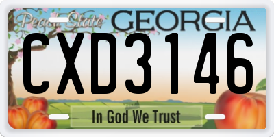 GA license plate CXD3146
