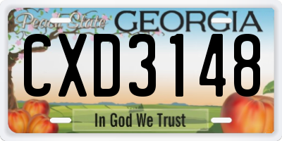 GA license plate CXD3148