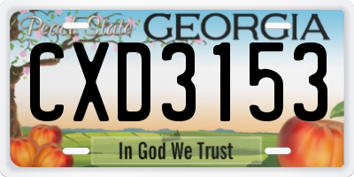 GA license plate CXD3153