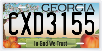 GA license plate CXD3155
