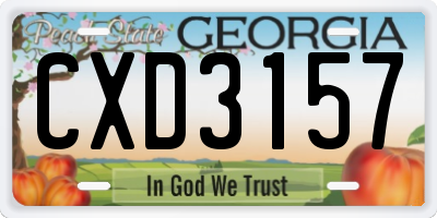 GA license plate CXD3157