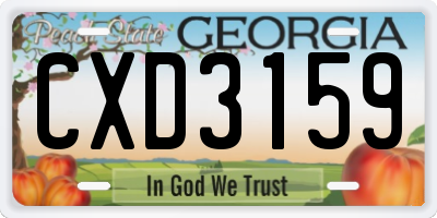 GA license plate CXD3159
