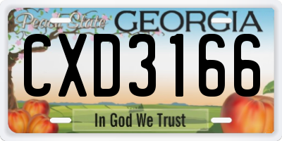 GA license plate CXD3166