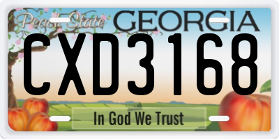 GA license plate CXD3168