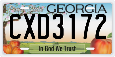 GA license plate CXD3172