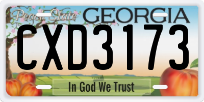 GA license plate CXD3173