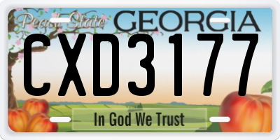 GA license plate CXD3177