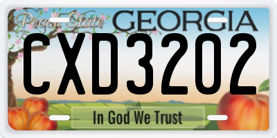 GA license plate CXD3202