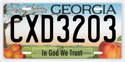 GA license plate CXD3203