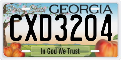 GA license plate CXD3204