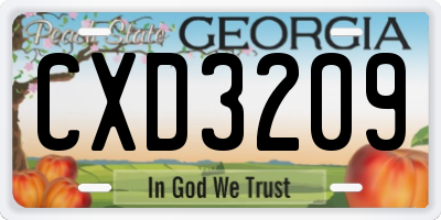 GA license plate CXD3209