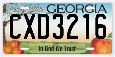 GA license plate CXD3216