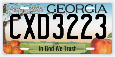 GA license plate CXD3223