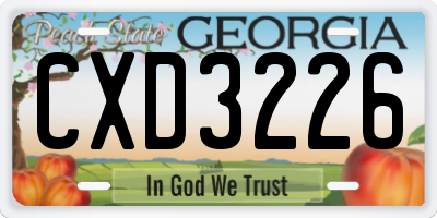 GA license plate CXD3226