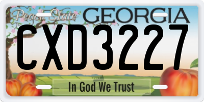 GA license plate CXD3227