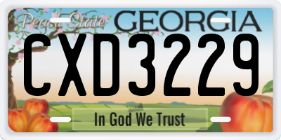 GA license plate CXD3229