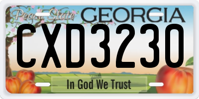 GA license plate CXD3230