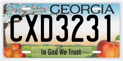 GA license plate CXD3231