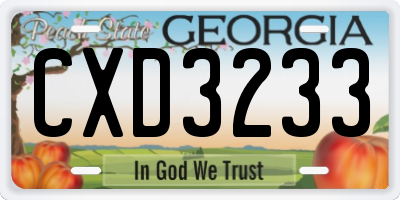 GA license plate CXD3233