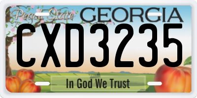 GA license plate CXD3235