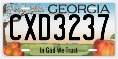 GA license plate CXD3237