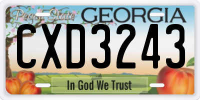 GA license plate CXD3243