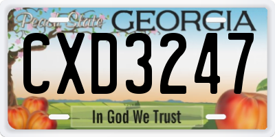 GA license plate CXD3247