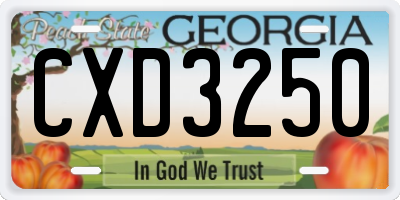 GA license plate CXD3250