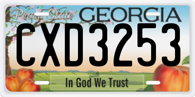 GA license plate CXD3253