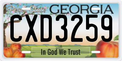 GA license plate CXD3259
