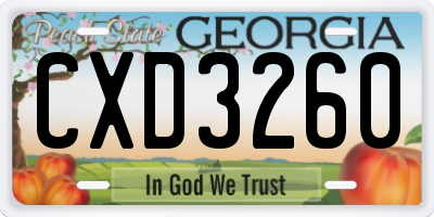 GA license plate CXD3260