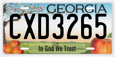 GA license plate CXD3265