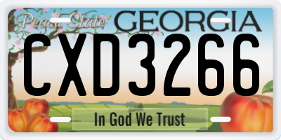 GA license plate CXD3266